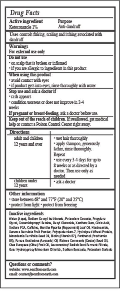 Drug Facts (Drug Panel)